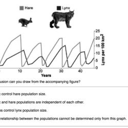 Hare and lynx populations worksheet answers