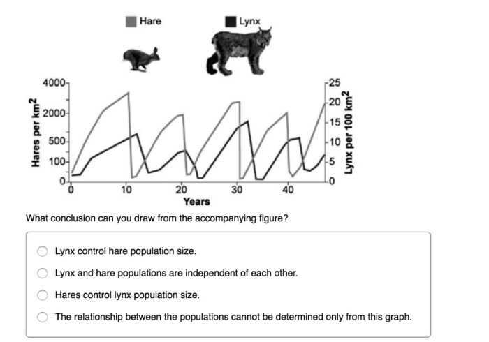 Hare and lynx populations worksheet answers