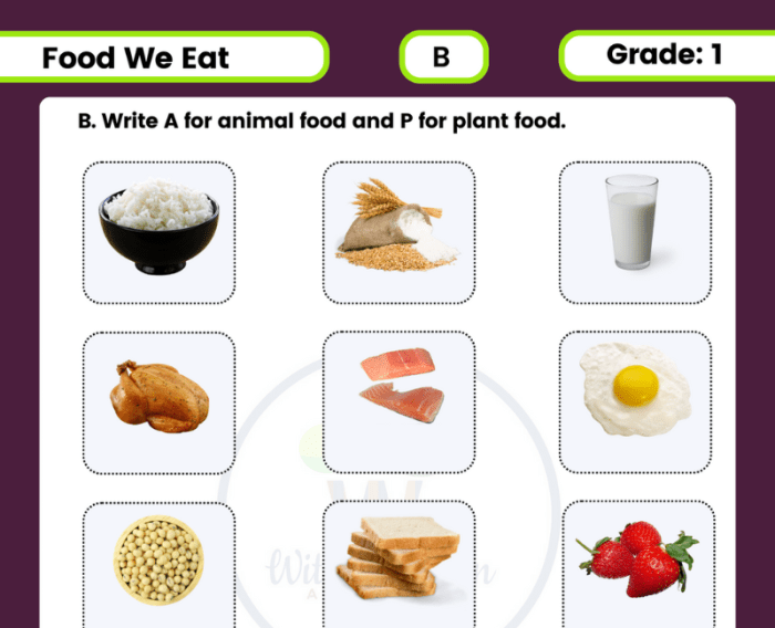 Nova - can i eat that worksheet answers