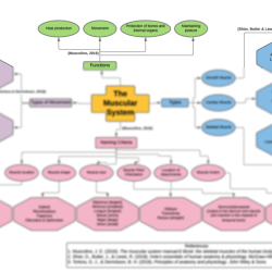 Muscle biology structure aqa level tes organiser ppt info resources