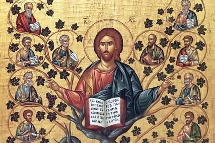 In isaiah christ is pictured as the true vine.