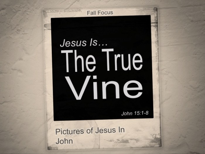 In isaiah christ is pictured as the true vine.